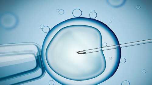 43岁卵巢早衰治疗恢复&能供卵做试管吗,2023年做一次借卵试管生男孩费用多少