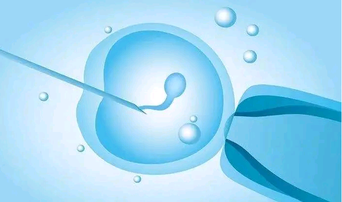 供卵需去传承生殖可靠&供卵试管医院,女性患上阴道炎的原因