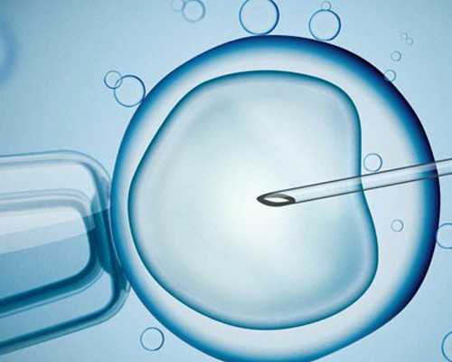 去哪做试管婴儿供卵机构&绝经后还能怀孕吗,人参什么功效作用？2023赠你人