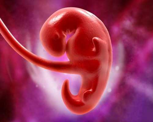 中国哪里有供卵机构&做代孕哪个医院好？,如何治疗卵巢性不孕