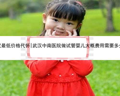 武汉最低价格代怀|武汉中南医院做试管婴儿大概费用需要多少？