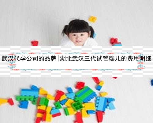 武汉代孕公司的品牌|湖北武汉三代试管婴儿的费用明细