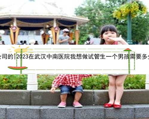 武汉想急找代孕公司的|2023在武汉中南医院我想做试管生一个男孩需要多少钱？