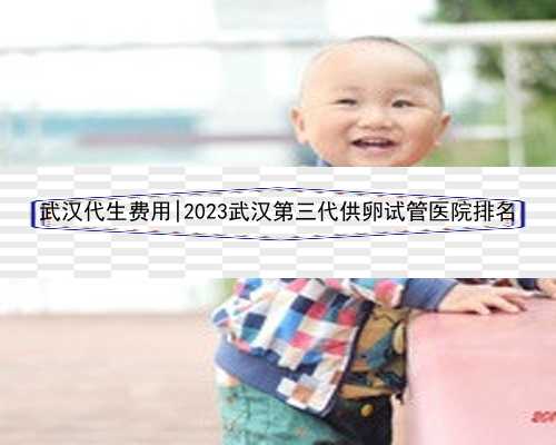 武汉代生费用|2023武汉第三代供卵试管医院排名