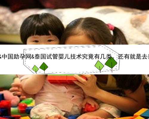 <b>试管二代能知道性别吗&中国助孕网&泰国试管婴儿技术究竟有几类。还有</b>